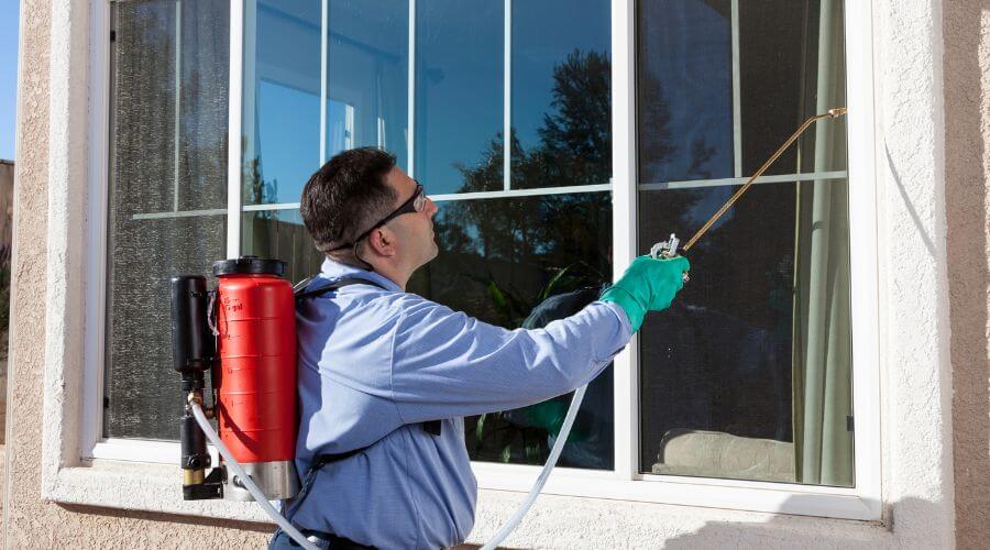 Professional 24 hour pest control services in Anchorage